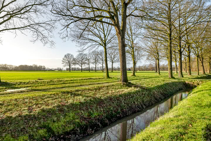 Foto 3 van Zuudgoorn 15