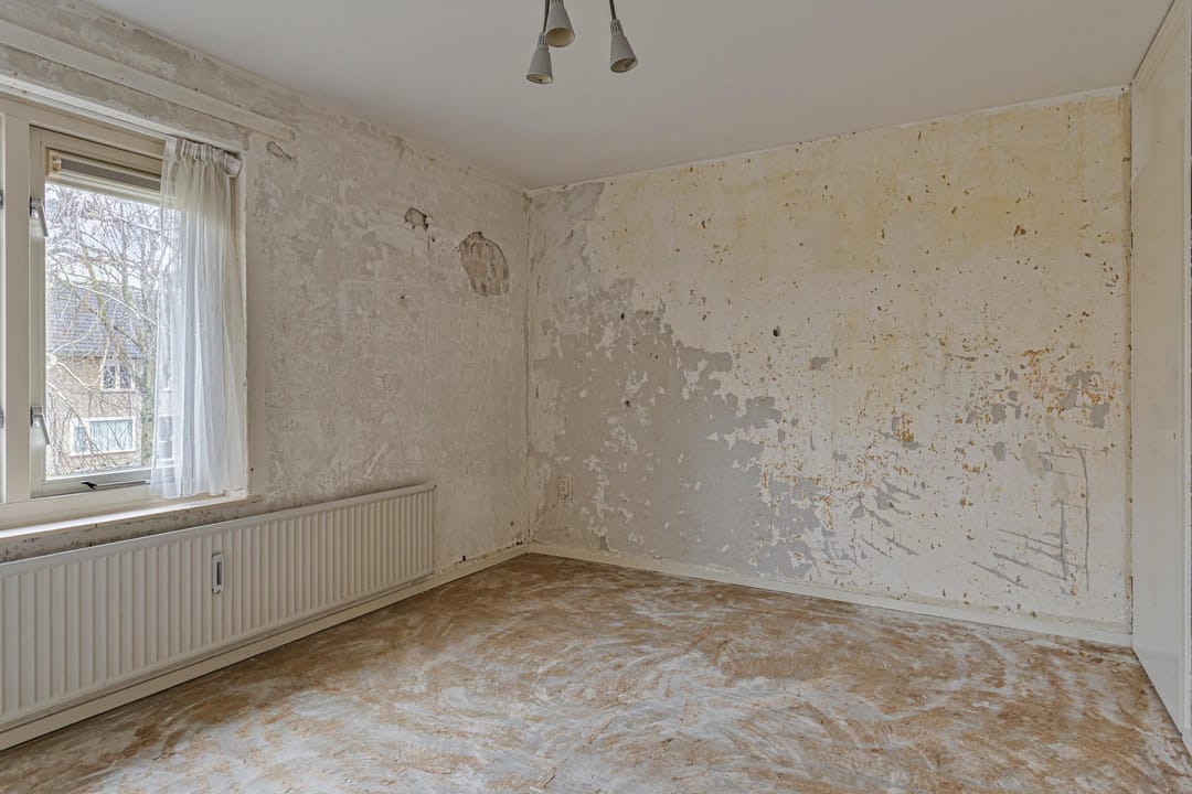 Photo 16 of Brasschaatpad 26