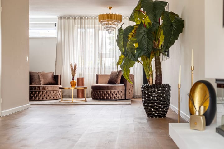 Foto 30 van Sterrenkroos 107