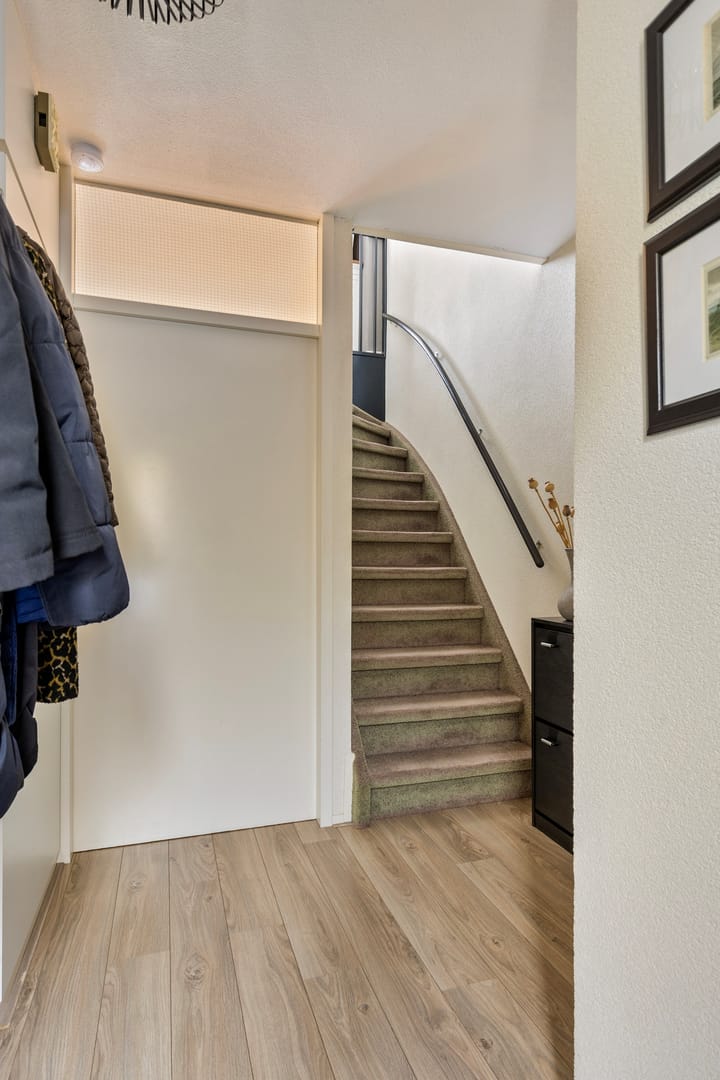 Foto 10 van Pruisisch blauw 3