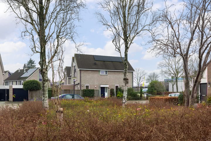 Foto 28 van Zuiderlaan 2