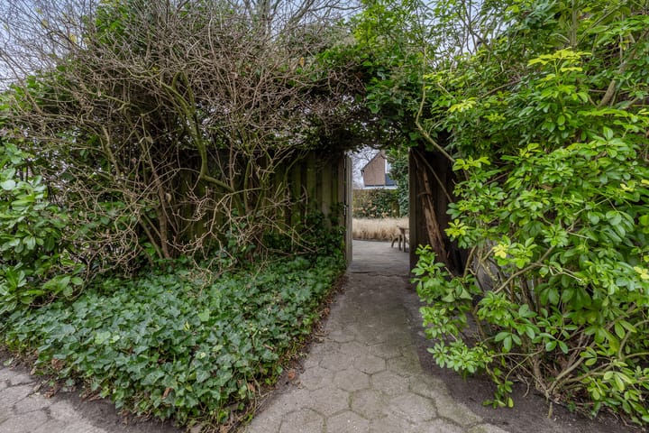 Foto 33 van Krentelaar 2