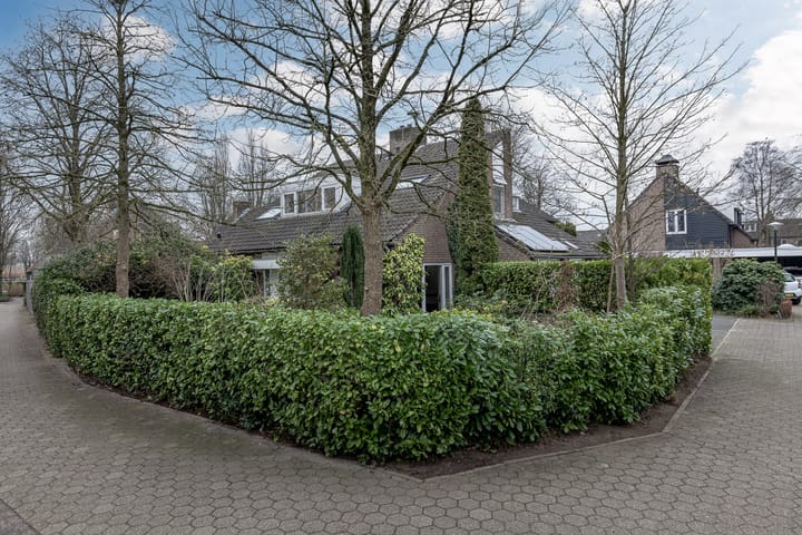 Foto 36 van Krentelaar 2