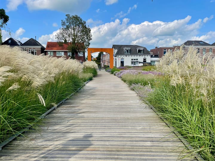 Foto 46 van Betsy Trompetterstraat 8