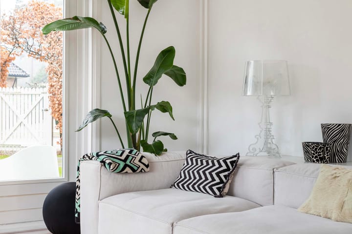 Foto 5 van Vliegerlaan 33