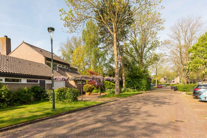 Foto 5 van Vredenoord 22