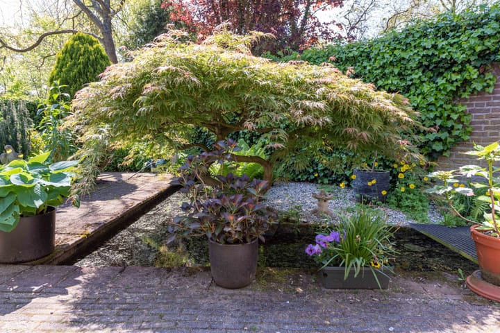 Foto 33 van Vredenoord 22