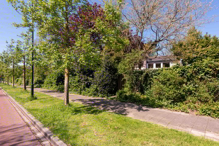 Foto 38 van Vredenoord 22