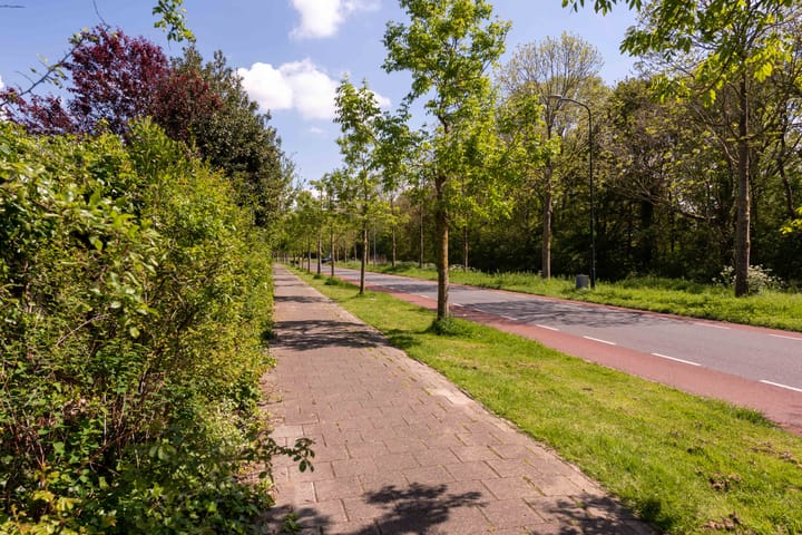 Foto 39 van Vredenoord 22