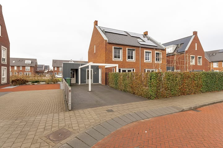 Foto 3 van Kilse Suikerpeer 6