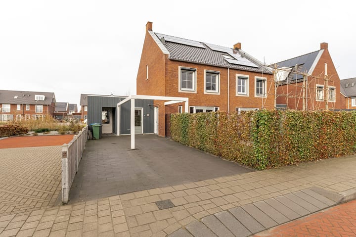 Photo 42 of Kilse Suikerpeer 6