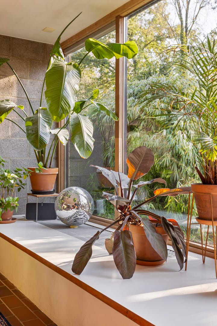 Foto 17 van Kattenbosch 44