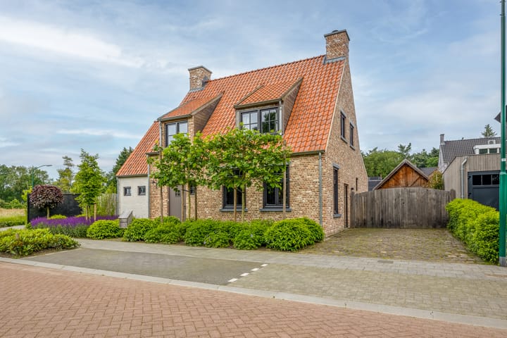 Foto 2 van Korenbloem 17