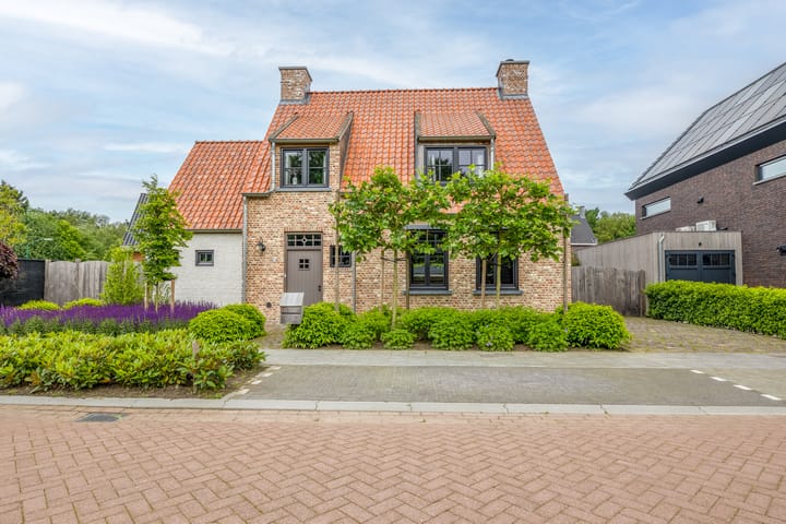 Foto 4 van Korenbloem 17