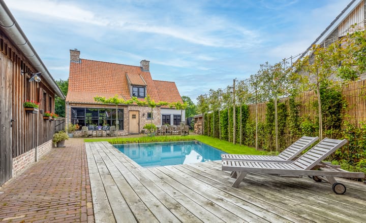 Foto 44 van Korenbloem 17