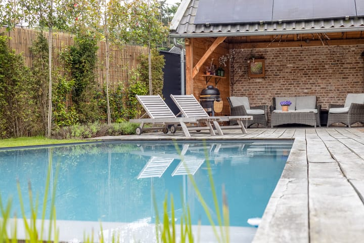 Foto 47 van Korenbloem 17