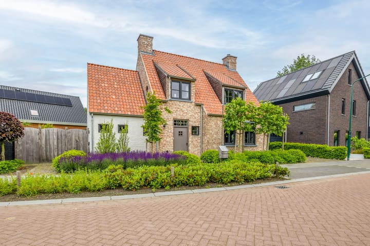 Foto 54 van Korenbloem 17