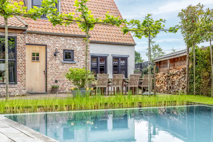 Foto 49 van Korenbloem 17