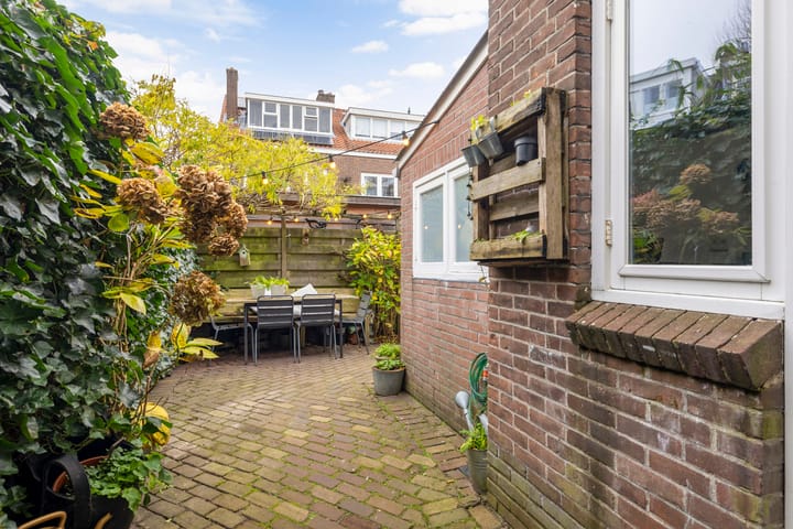 Foto 19 van Alexander Numankade 223