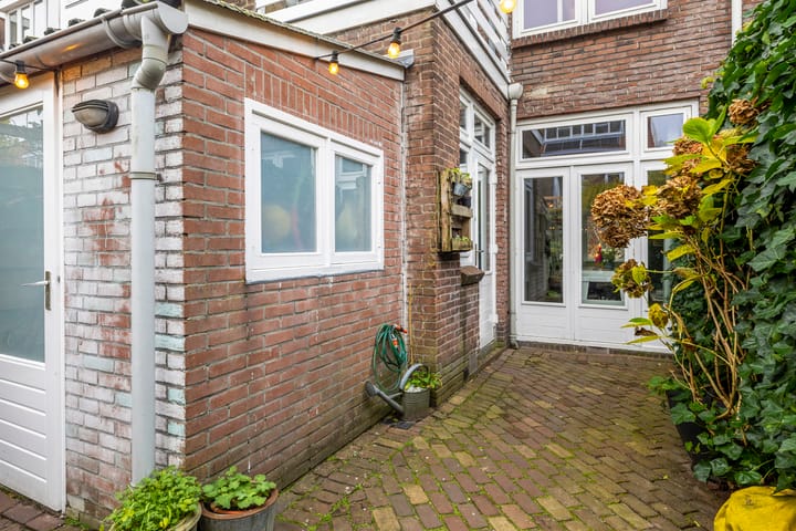 Foto 20 van Alexander Numankade 223