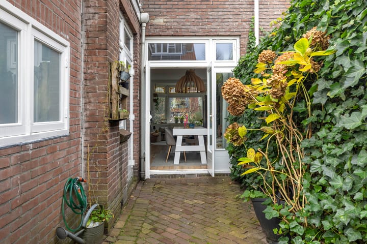 Foto 21 van Alexander Numankade 223