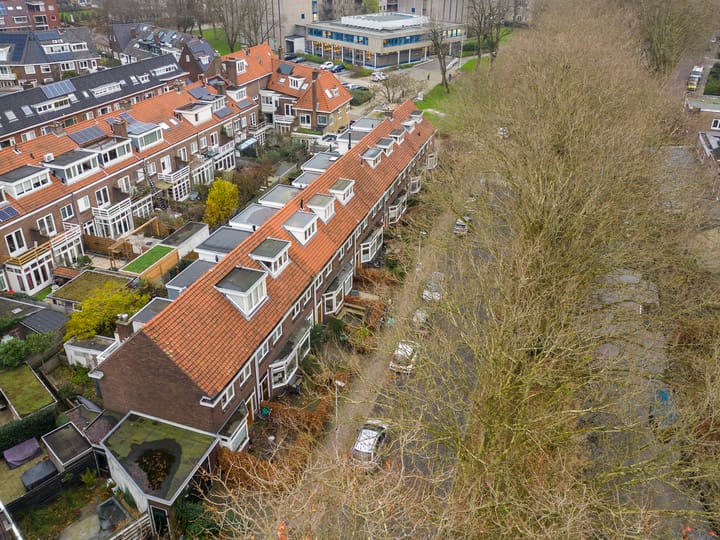 Foto 32 van Alexander Numankade 223