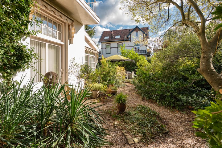 Foto 46 van Steijnlaan 8