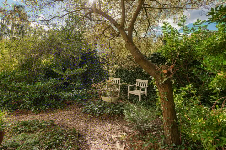 Foto 47 van Steijnlaan 8