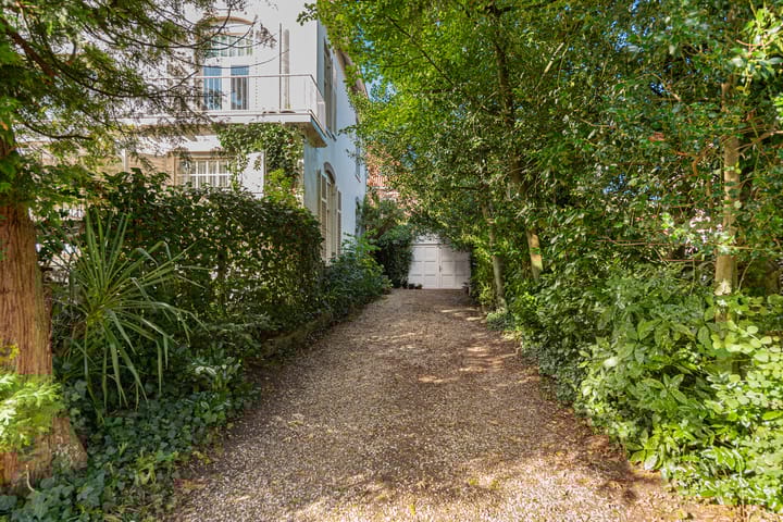 Foto 55 van Steijnlaan 8