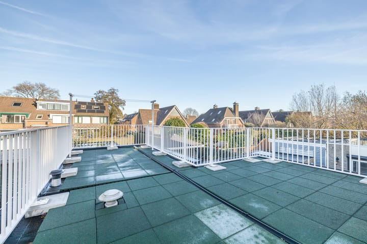 Foto 12 van Koolzaadveld 17