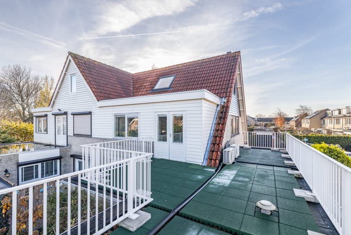 Foto 13 van Koolzaadveld 17