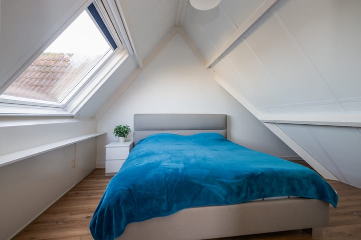 Foto 21 van Koolzaadveld 17