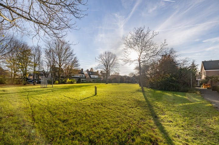 Foto 36 van Koolzaadveld 17