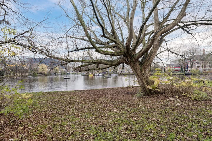 Foto 28 van Agamemnonstraat 65-1