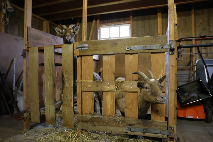 Photo 46 of Pôllewei 3