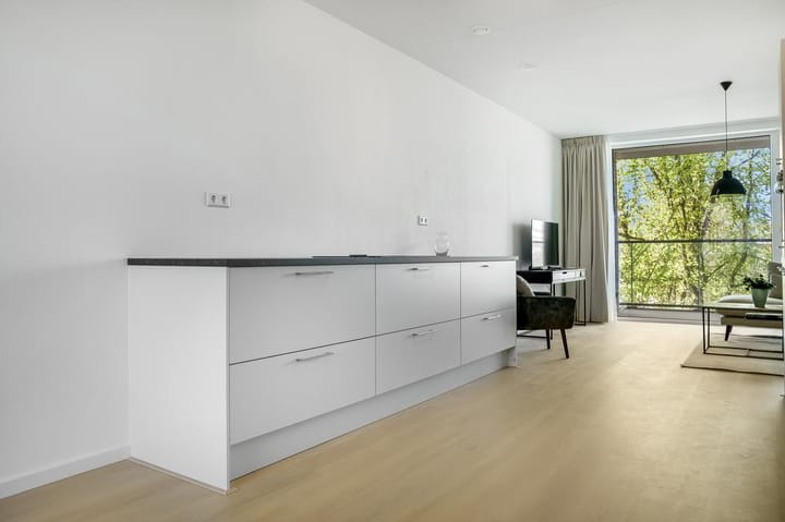 Photo 3 of Anthony Roodvoetsstraat 47