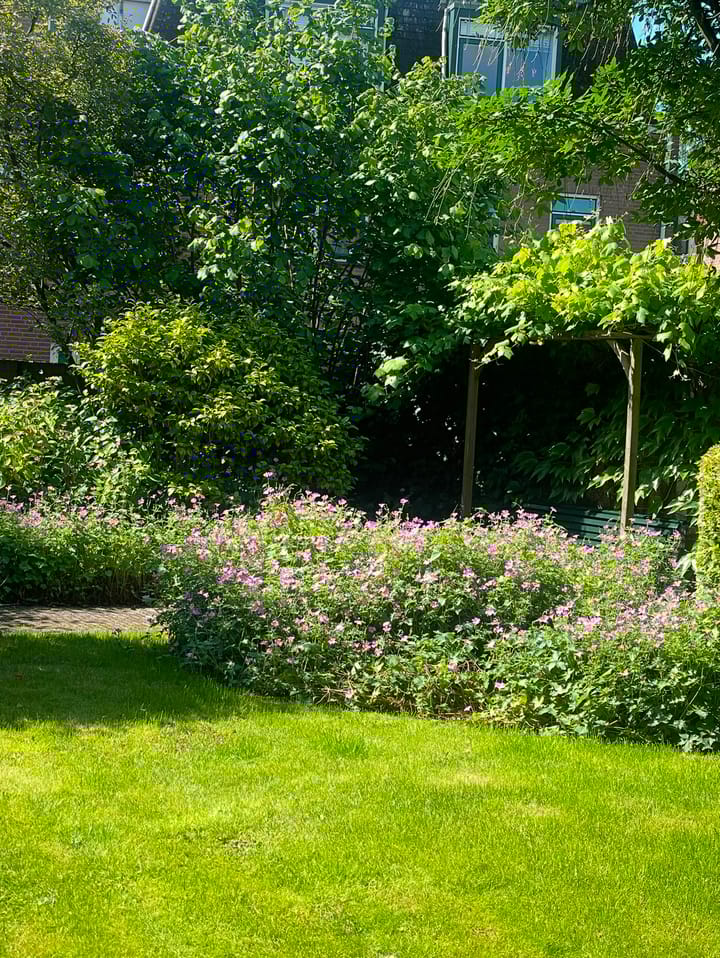 Foto 24 van Molenstraat 38-B