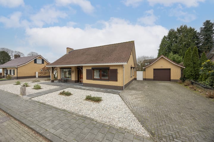 undefined main image