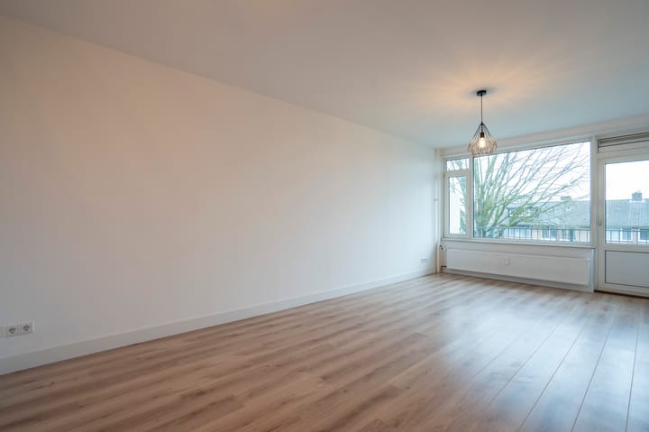 Foto 2 van Maassingel 360