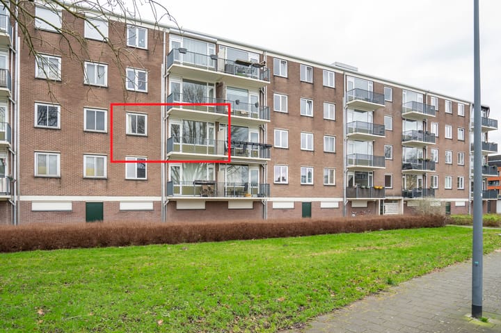 Foto 16 van Maassingel 360