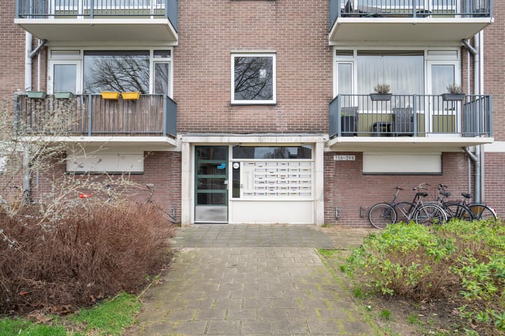 Foto 18 van Maassingel 360