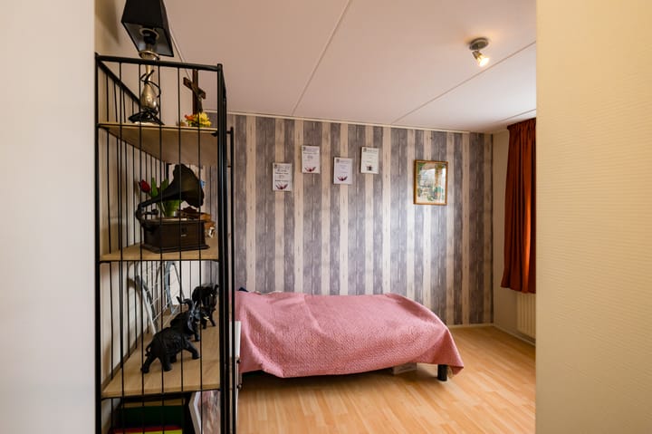 Foto 7 van Anthurium 3