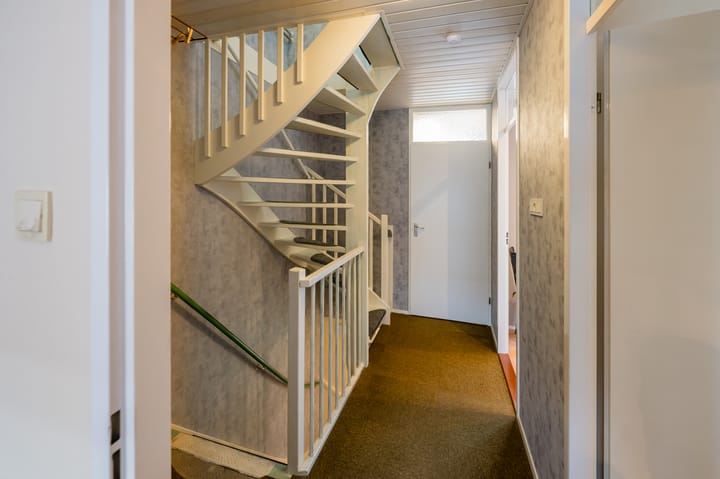 Foto 9 van Anthurium 3