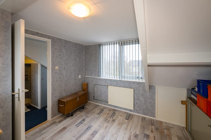 Foto 10 van Anthurium 3