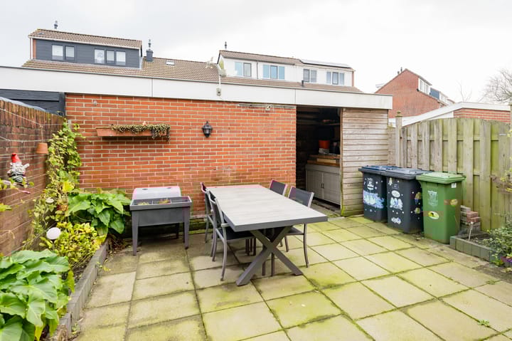 Foto 11 van Anthurium 3