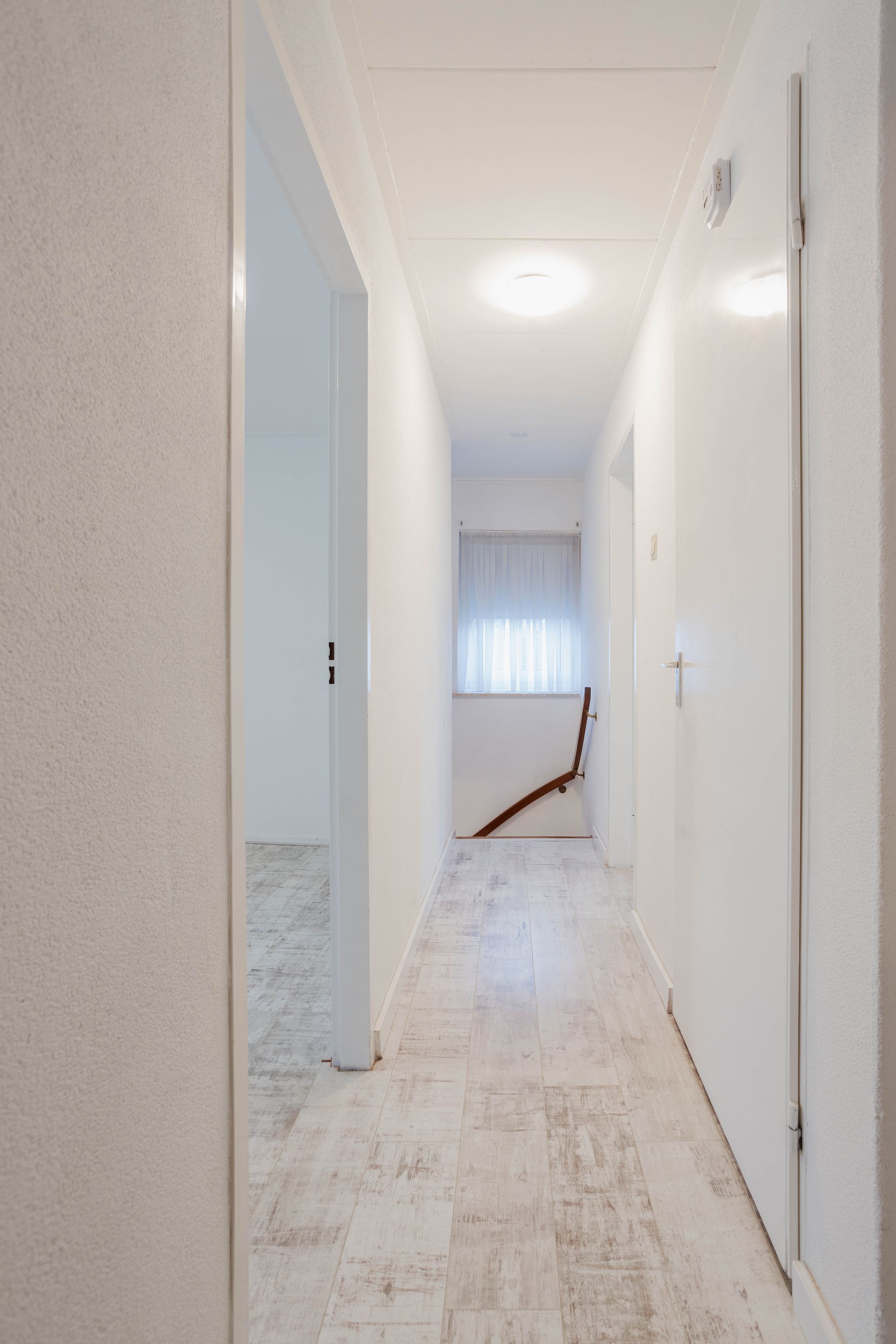 Foto 27 van Schotse Hooglandersstraat 81