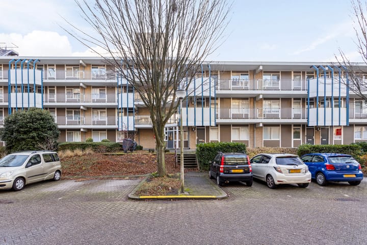 Foto 24 van Zadkinerade 24