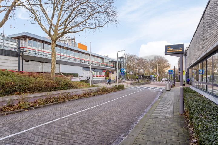 Foto 26 van Zadkinerade 24