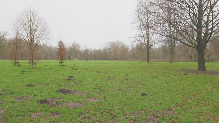 Foto 28 van Zadkinerade 24