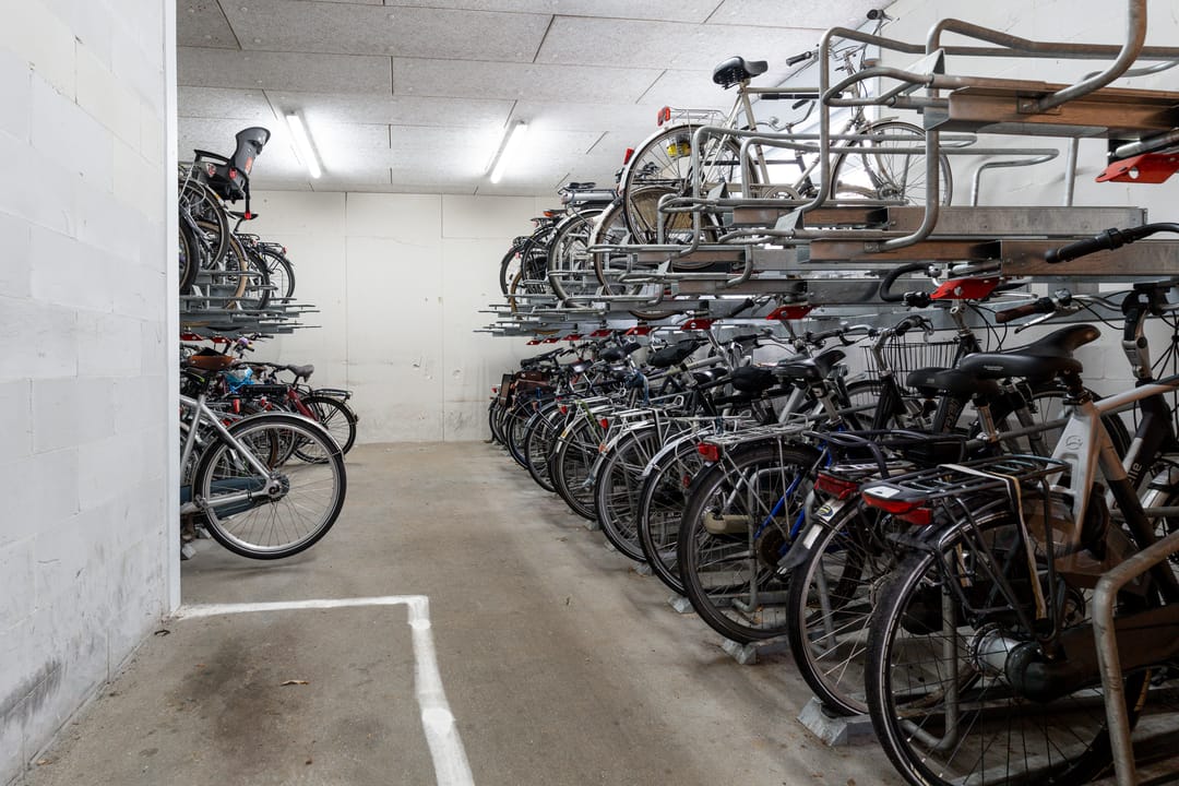 Foto 38 van Zonnehout 51